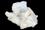 Zoned Apophyllite Crystals With Stilbite - India #92243-1